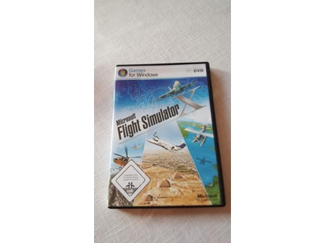 PC-Spiel "Flight Simulator"